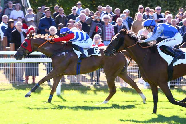 Photo d'arrivée de la course pmu PRIX DES PEUPLIERS à FONTAINEBLEAU le Mardi 25 septembre 2018