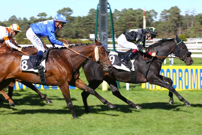 Photo d'arrivée de la course pmu PRIX DU LONG ROCHER à FONTAINEBLEAU le Mardi 25 septembre 2018