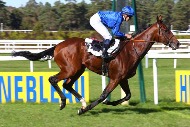 Photo d'arrivée de la course pmu PRIX CHATEAU LANDON à FONTAINEBLEAU le Mardi 25 septembre 2018