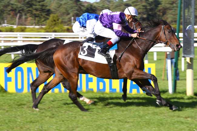 Photo d'arrivée de la course pmu PRIX GUY THIBAULT à FONTAINEBLEAU le Mardi 25 septembre 2018