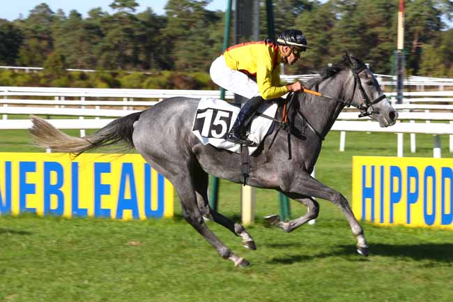 Photo d'arrivée de la course pmu PRIX DE LA SOCIETE DES COURSES DE RAMBOUILLET à FONTAINEBLEAU le Mardi 25 septembre 2018