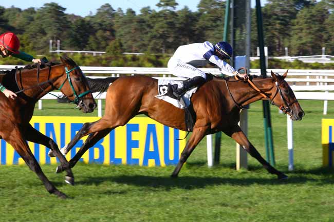 Photo d'arrivée de la course pmu PRIX ARTUS DE MAILLE à FONTAINEBLEAU le Mardi 25 septembre 2018