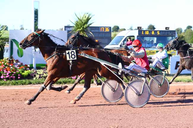 Photo d'arrivée de la course pmu PRIX CARREFOUR MARKET - VIRE NORMANDIE à VIRE le Mercredi 26 septembre 2018