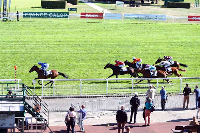 Photo d'arrivée de la course pmu PRIX MOTRICO à MAISONS-LAFFITTE le Mercredi 26 septembre 2018
