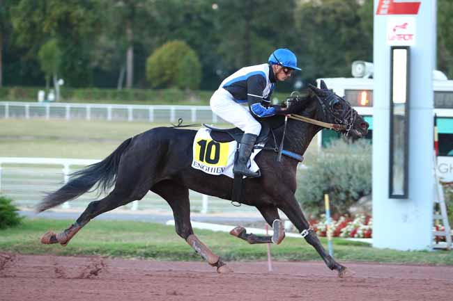 Photo d'arrivée de la course pmu PRIX DE THOMERY à ENGHIEN le Jeudi 27 septembre 2018