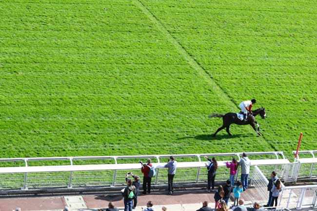 Photo d'arrivée de la course pmu PRIX PRIDE OF KILDARE à AUTEUIL le Samedi 29 septembre 2018