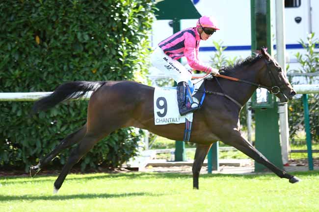 Photo d'arrivée de la course pmu CRITERIUM DE VITESSE à CHANTILLY le Lundi 1 octobre 2018
