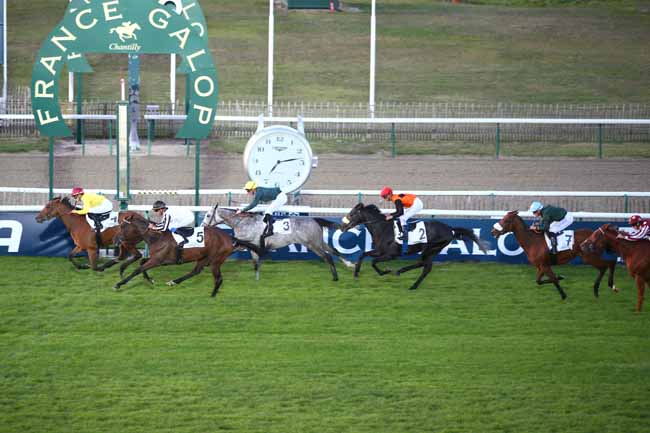 Photo d'arrivée de la course pmu PRIX D'ANSERVILLE à CHANTILLY le Lundi 1 octobre 2018