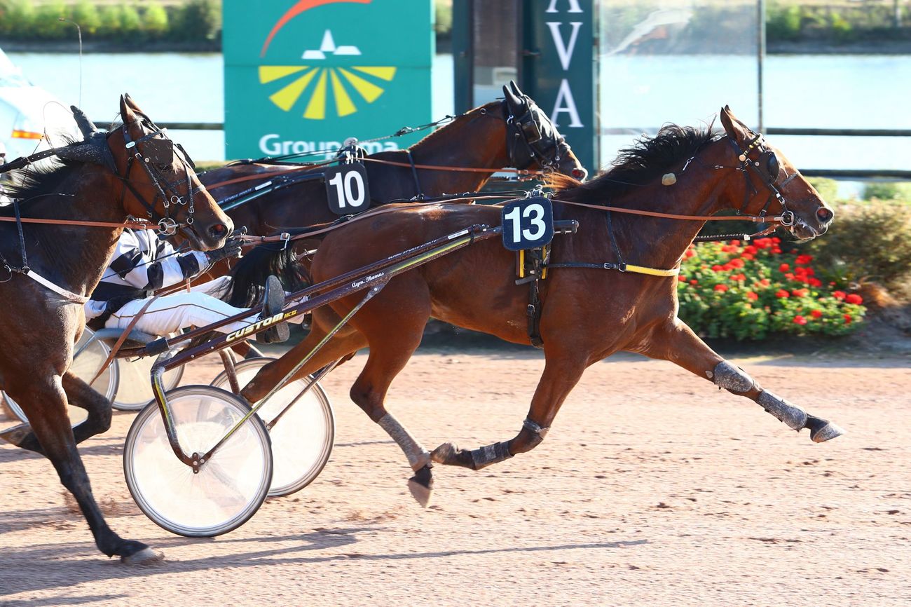 Photo d'arrivée de la course pmu PRIX BOLD EAGLE (GR B) à LAVAL le Mercredi 3 octobre 2018