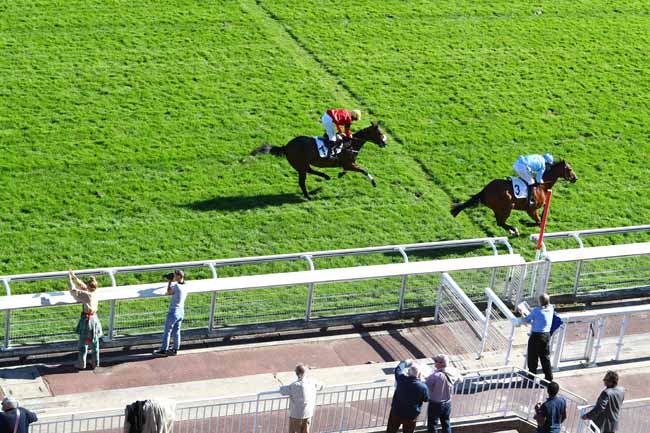 Photo d'arrivée de la course pmu PRIX PIOMARES à AUTEUIL le Jeudi 4 octobre 2018