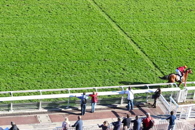 Photo d'arrivée de la course pmu PRIX HIPPARQUE à AUTEUIL le Jeudi 4 octobre 2018