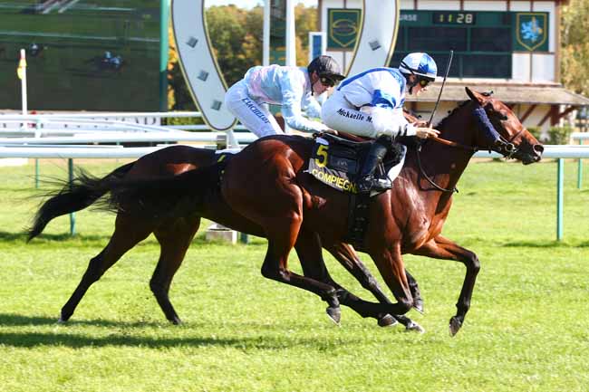 Photo d'arrivée de la course pmu PRIX DE JAUX à COMPIEGNE le Jeudi 4 octobre 2018