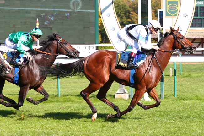 Photo d'arrivée de la course pmu PRIX D'HARAMONT à COMPIEGNE le Jeudi 4 octobre 2018