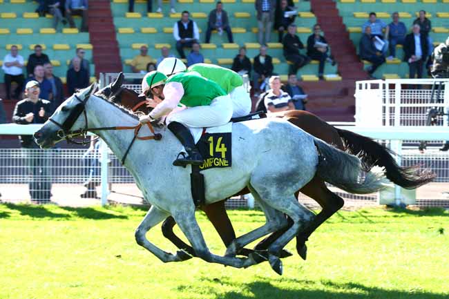Photo d'arrivée de la course pmu PRIX DE VILLERS COTTERETS à COMPIEGNE le Jeudi 4 octobre 2018