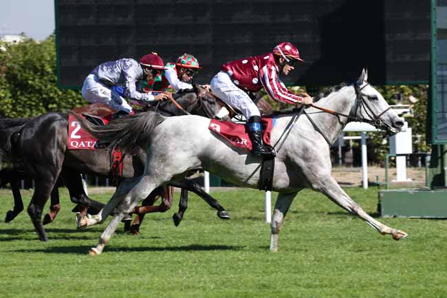 Photo d'arrivée de la course pmu QATAR ARABIAN TROPHY DES POULAINS à SAINT-CLOUD le Vendredi 5 octobre 2018