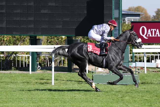 Photo d'arrivée de la course pmu QATAR ARABIAN TROPHY DES POULICHES à SAINT-CLOUD le Vendredi 5 octobre 2018