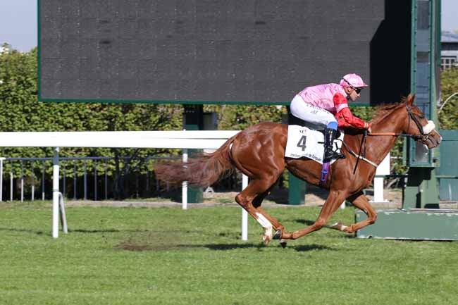 Photo d'arrivée de la course pmu PRIX THOMAS BRYON JOCKEY CLUB DE TURQUIE à SAINT-CLOUD le Vendredi 5 octobre 2018