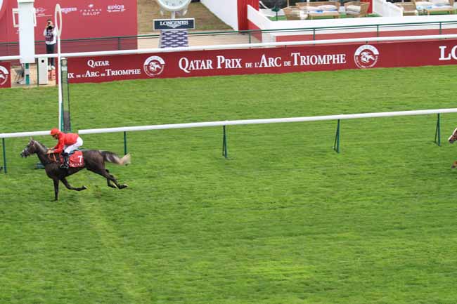 Photo d'arrivée de la course pmu QATAR ARABIAN TROPHY DES JUMENTS à LONGCHAMP le Samedi 6 octobre 2018