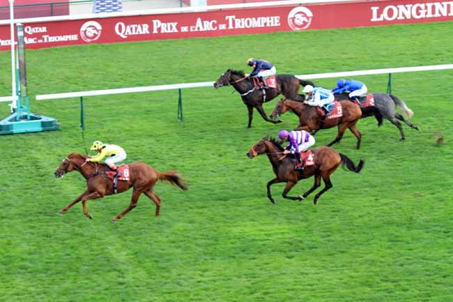 Photo d'arrivée de la course pmu QATAR PRIX DANIEL WILDENSTEIN à LONGCHAMP le Samedi 6 octobre 2018