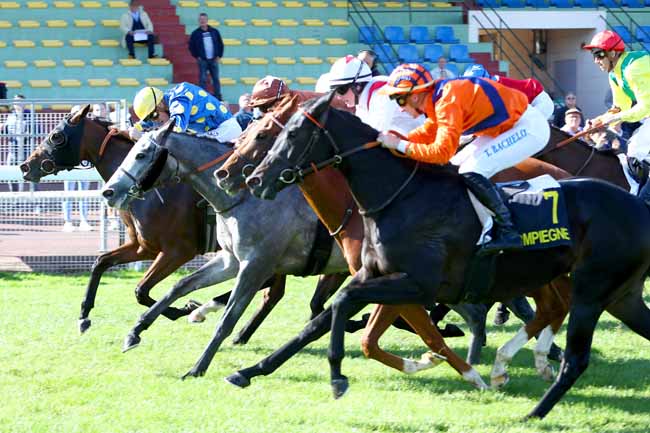Photo d'arrivée de la course pmu PRIX DE LA VALLEE DE L'AUTOMNE à COMPIEGNE le Lundi 8 octobre 2018