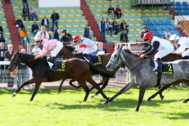 Photo d'arrivée de la course pmu PRIX DE L'ARTOIS à COMPIEGNE le Lundi 8 octobre 2018