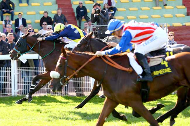 Photo d'arrivée de la course pmu PRIX DE L'AVESNOIS à COMPIEGNE le Lundi 8 octobre 2018