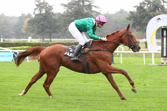 Photo d'arrivée de la course pmu PRIX DES MONTS DU BEAUJOLAIS à LYON-PARILLY le Mardi 9 octobre 2018