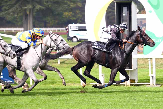 Photo d'arrivée de la course pmu PRIX DE LA FEDERATION DES COURSES DU CENTRE-EST à LYON-PARILLY le Mardi 9 octobre 2018