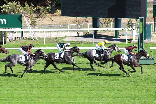 Photo d'arrivée de la course pmu PRIX DES HALLES à SAINT-CLOUD le Jeudi 11 octobre 2018