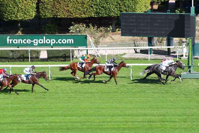 Photo d'arrivée de la course pmu PRIX DU BRIONNAIS à SAINT-CLOUD le Jeudi 11 octobre 2018
