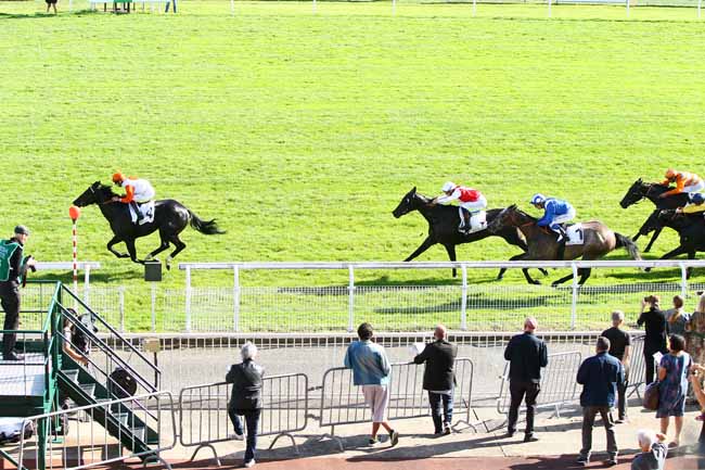Photo d'arrivée de la course pmu PRIX GRIS PERLE à MAISONS-LAFFITTE le Samedi 13 octobre 2018