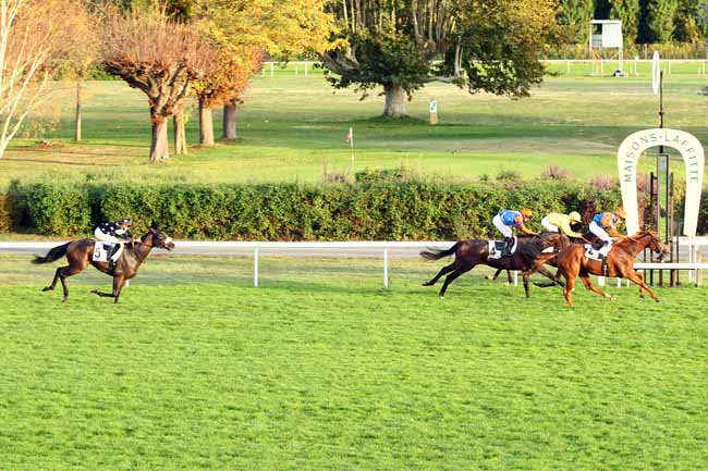Photo d'arrivée de la course pmu PRIX DES ECURIES DU CHATEAU à MAISONS-LAFFITTE le Samedi 13 octobre 2018