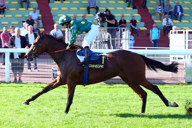 Photo d'arrivée de la course pmu PRIX DU PUITS D'ORLEANS à COMPIEGNE le Lundi 15 octobre 2018