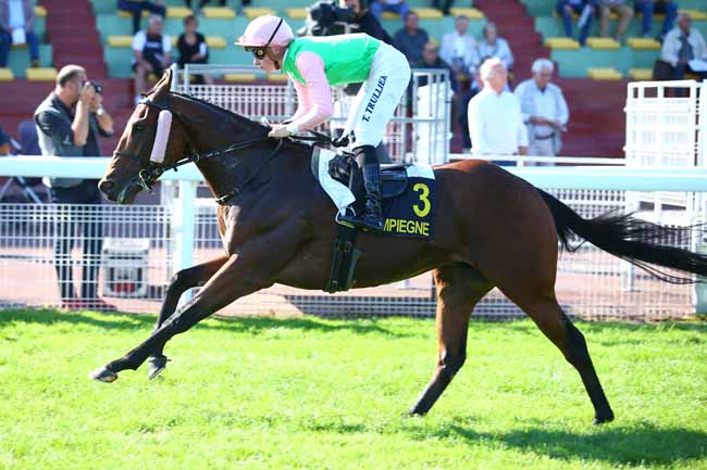 Photo d'arrivée de la course pmu PRIX DE BLERANCOURT à COMPIEGNE le Lundi 15 octobre 2018