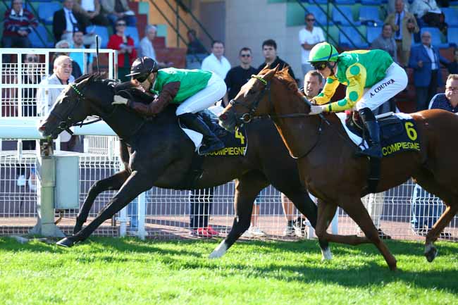 Photo d'arrivée de la course pmu PRIX DE LONGUEIL ANNEL à COMPIEGNE le Lundi 15 octobre 2018