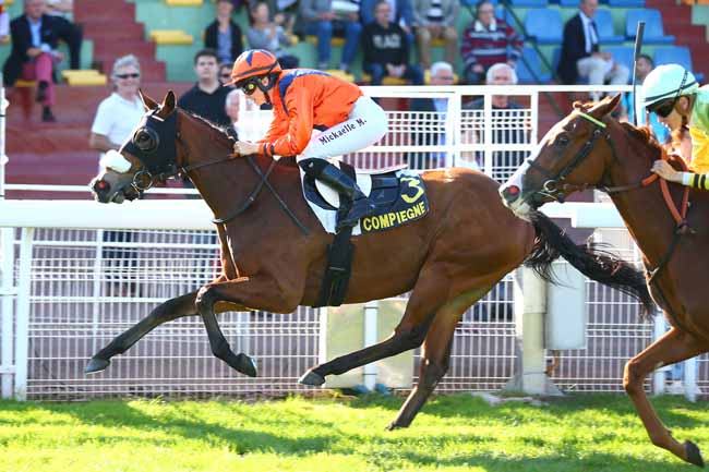 Photo d'arrivée de la course pmu PRIX DE LA BREVIERE à COMPIEGNE le Lundi 15 octobre 2018