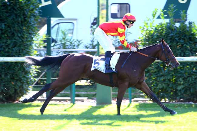 Photo d'arrivée de la course pmu PRIX DES TERROIRS DE FRANCE à CHANTILLY le Mardi 16 octobre 2018