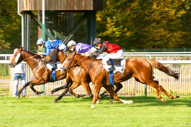 Photo d'arrivée de la course pmu PRIX DE LA BORNE BLANCHE à CHANTILLY le Mardi 16 octobre 2018