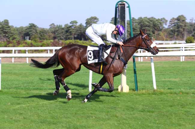 Photo d'arrivée de la course pmu PRIX DU RALLYE FONTAINEBLEAU à FONTAINEBLEAU le Mardi 16 octobre 2018