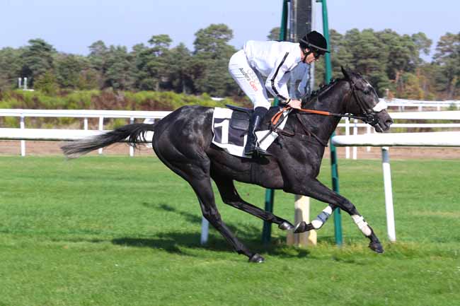 Photo d'arrivée de la course pmu PRIX D'URY à FONTAINEBLEAU le Mardi 16 octobre 2018