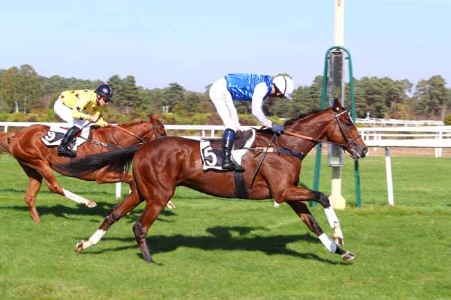 Photo d'arrivée de la course pmu PRIX ARCHITRACKS à FONTAINEBLEAU le Mardi 16 octobre 2018