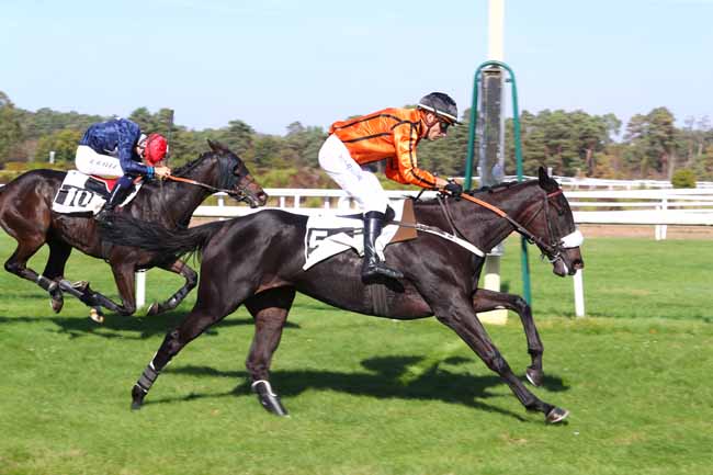 Photo d'arrivée de la course pmu PRIX DE LA TABLE DU ROI à FONTAINEBLEAU le Mardi 16 octobre 2018