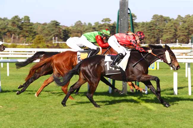 Photo d'arrivée de la course pmu PRIX MADAME CHARLES DU BREIL à FONTAINEBLEAU le Mardi 16 octobre 2018