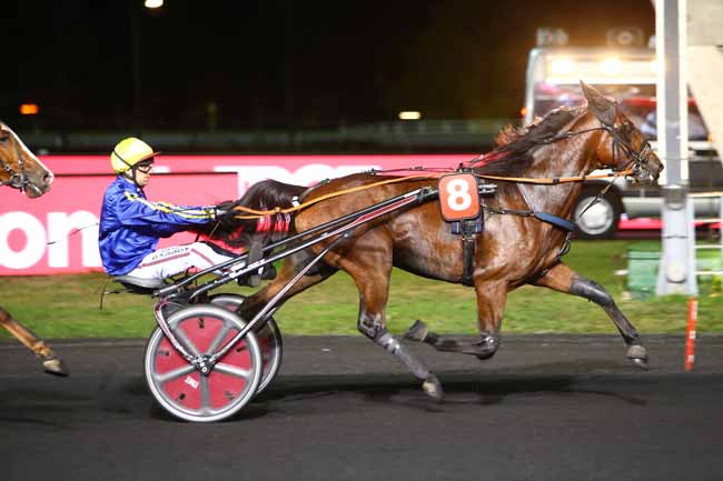 Photo d'arrivée de la course pmu PRIX ALGINA à PARIS-VINCENNES le Mardi 16 octobre 2018