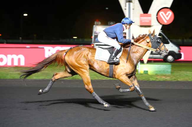 Photo d'arrivée de la course pmu PRIX GOBERTA à PARIS-VINCENNES le Mardi 16 octobre 2018
