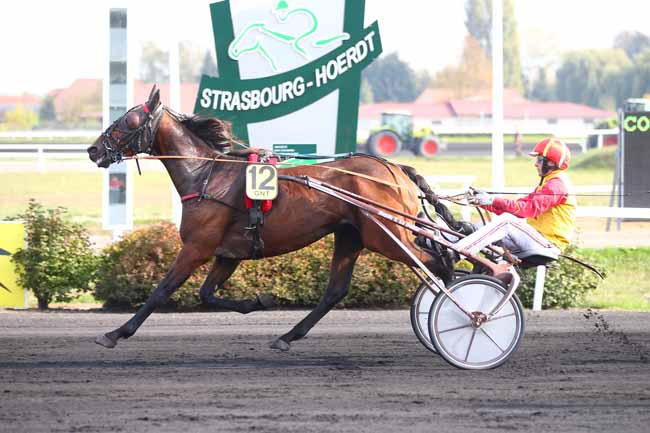 Photo d'arrivée de la course pmu GRAND NATIONAL DU TROT PARIS-TURF à STRASBOURG le Mercredi 17 octobre 2018