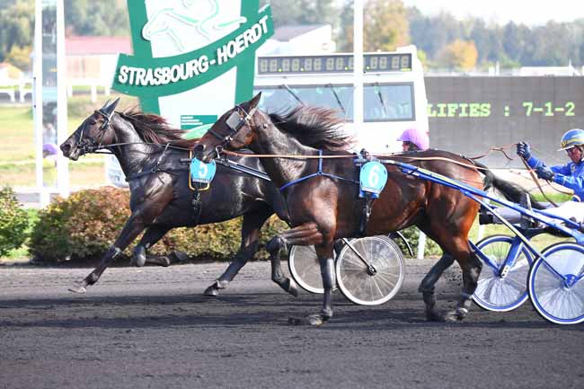 Photo d'arrivée de la course pmu PRIX GALLAUD-JOAILLIER.COM à STRASBOURG le Mercredi 17 octobre 2018