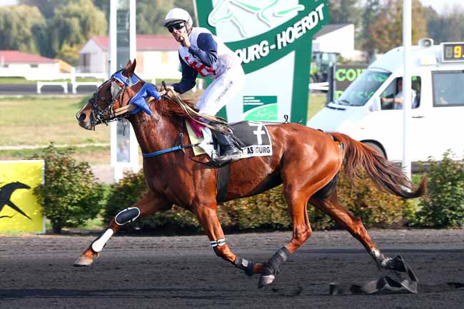 Photo d'arrivée de la course pmu PRIX FRANCE 3 ALSACE à STRASBOURG le Mercredi 17 octobre 2018