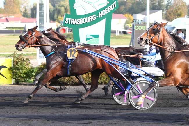 Photo d'arrivée de la course pmu PRIX UNE DE MAI à STRASBOURG le Mercredi 17 octobre 2018