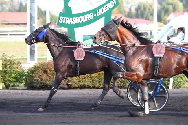 Photo d'arrivée de la course pmu PRIX CENTRAKOR ALSACE à STRASBOURG le Mercredi 17 octobre 2018
